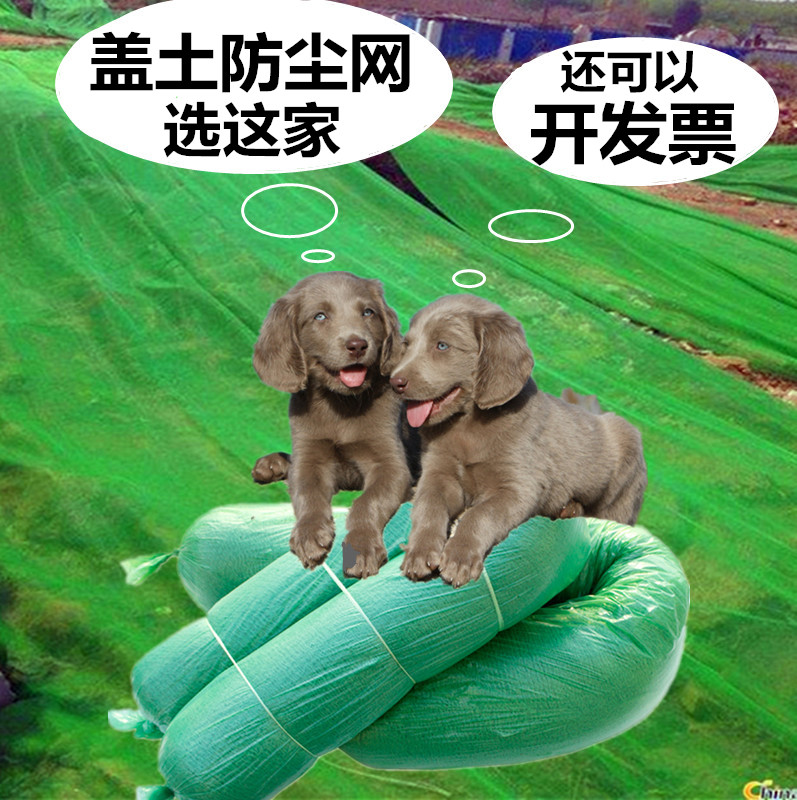 盖土网建筑安全网绿化网工地绿色覆盖网遮阳网密目网环保网防尘网|ruв категории оборудование/инструменты, строительство защиты, входят защита, сеть безопасности - от Buy2taobao.com для оказания профессиональной услуги покупки агента Taobao