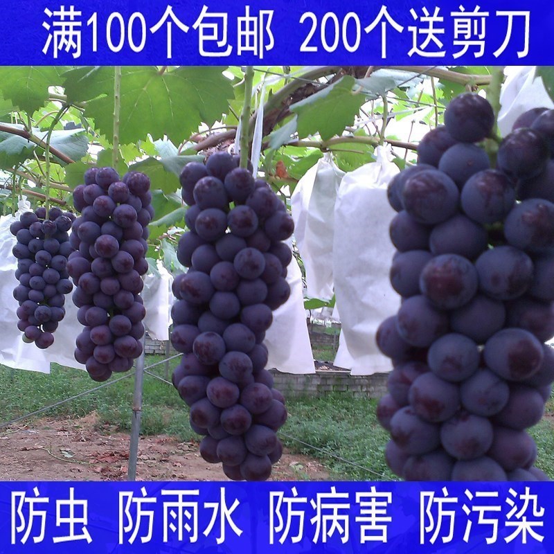 葡萄套袋专用袋批發防鸟防虫莲雾水果袋套袋套葡萄的纸袋子在类目 鲜花速递/花卉仿真/绿植园艺, 园艺用品, 其它园艺用品中 - 来自Buy2taobao.com提供专业的淘宝代购服务