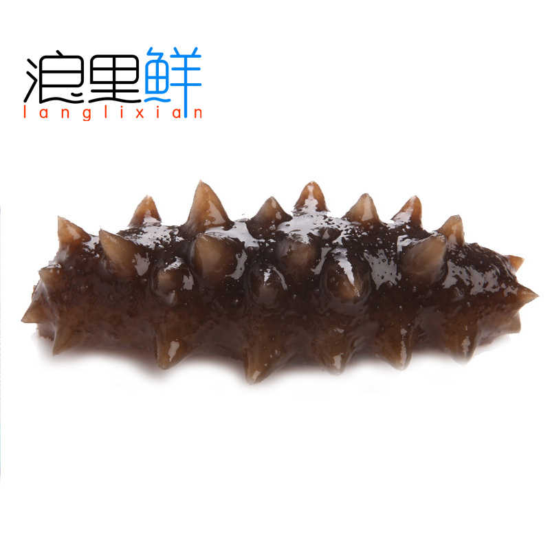 浪里鲜乳山水产海鲜特价鲜活海 野生刺参即食海参10只顺丰包邮在类目 水产肉类/新鲜蔬果/熟食, 海鲜/水产品/制品, 海参中 - 来自Buy2taobao.com提供专业的淘宝代购服务