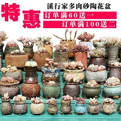 粗陶花盆多肉复古花盆手捏盆瑕疵麦饭石 手工捏盆花盆陶瓷小
