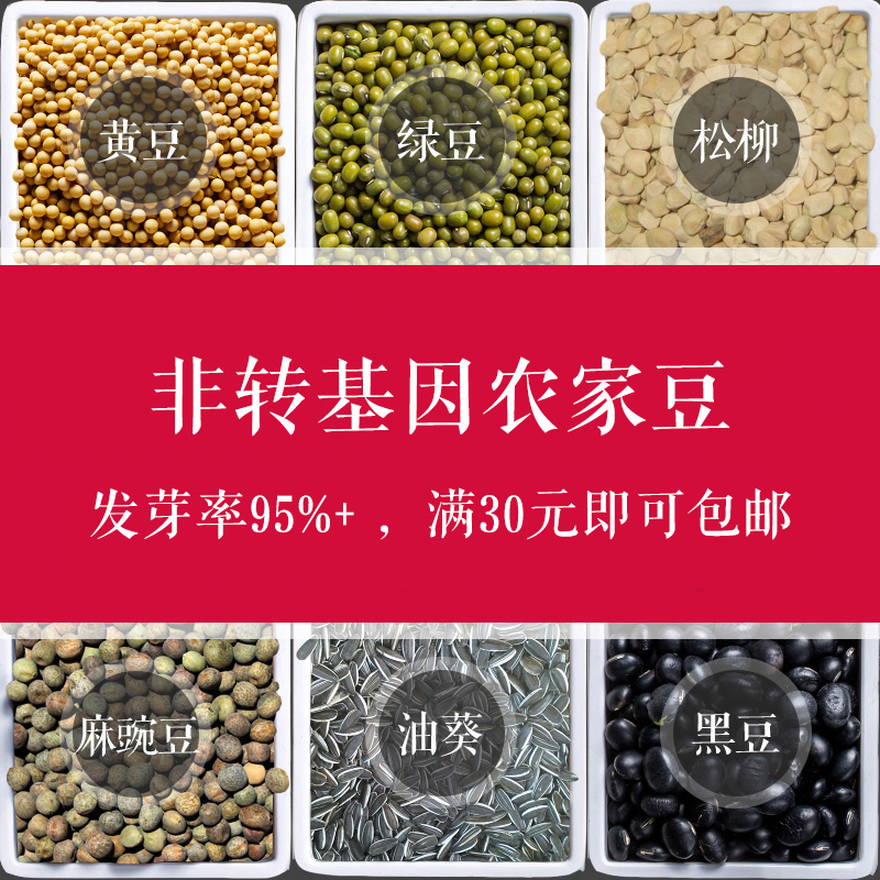 Countryside Non-GM Germination Beans Farm ecology Beans Green beans Bean sprouts Pea seedlingsin the Flower delivery/Flowers simulation/Plants gardening , Gardening supplies , Seedling tray/Nutritional bowl category - from Buy2taobao.com to provide professional Taobao agent buy service