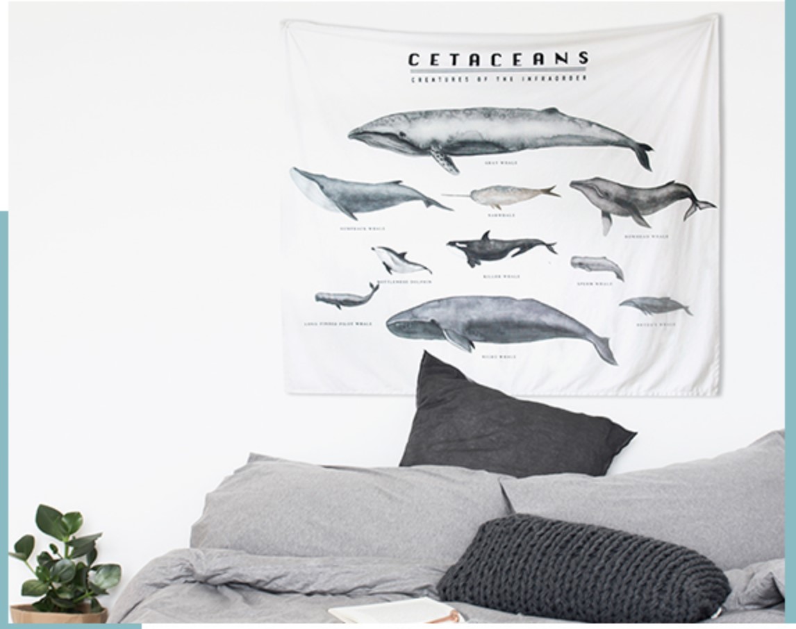 Student Room Heart ins Upholstery dorm Background cloth photograph whale Valance Desire girlin the Home accessories , Mural category - from Buy2taobao.com to provide professional Taobao agent buy service