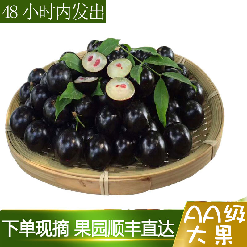 【顺丰空运】树葡萄鲜果嘉宝果新鲜水果当季水果现摘现发1斤包邮|msdalam kategori daging perikanan/Buah-buahan segar dan sayur-sayuran/dimasak, buah-buahan segar, lain - dari Buy2taobao.com untuk memberikan perkhidmatan ejen Taobao profesional membeli