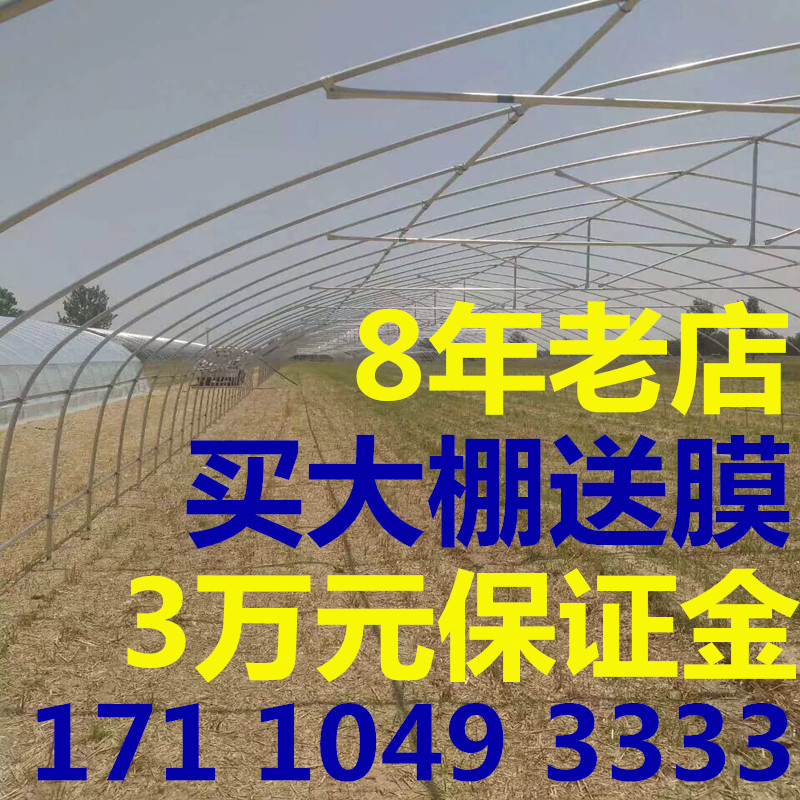 625 Type shelf frame 825 Vegetables Greenhouse skeleton 832 greenhouse Greenhouse steel pipe Steel frame Breeding greenhouse partsin the Flower delivery/Flowers simulation/Plants gardening , Gardening supplies , Other Garden Supplies category - from Buy2taobao.com to provide professional Taobao agent buy service