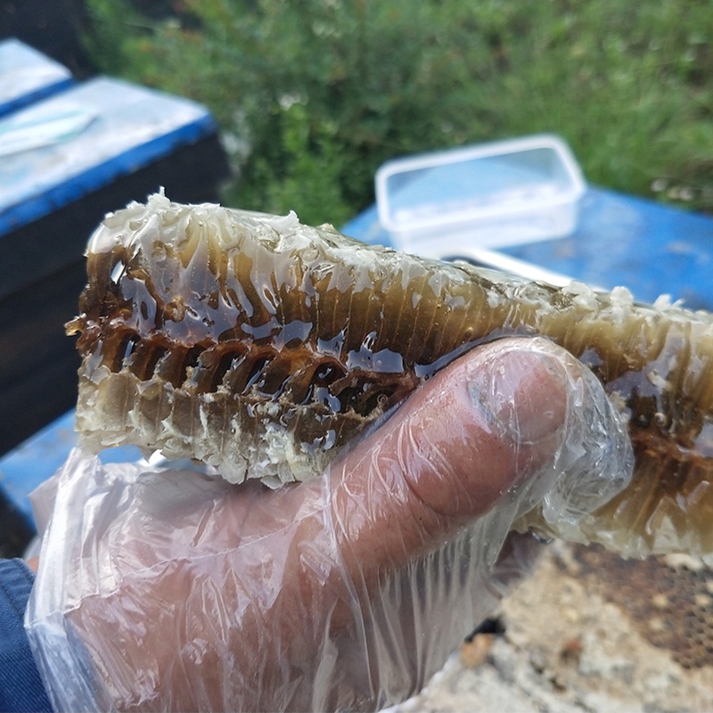 honeybee Honey comb box-packed 500g pure natural Lair honey Production solid honeyin the Traditional nourishing food , Honey category - from Buy2taobao.com to provide professional Taobao agent buy service