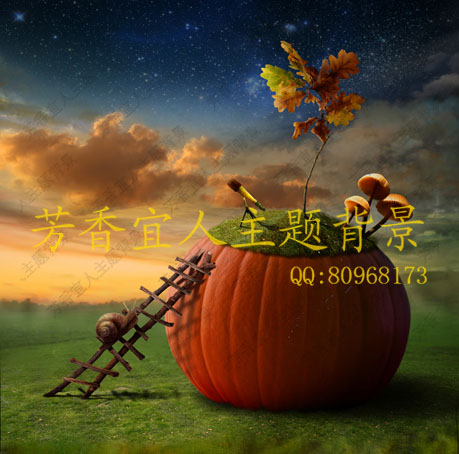 新款无缝布款摄影背景布写真布影楼主题防水PP纸挂拍儿童S-487在类目 模玩/动漫/周边/cos/桌游, 手办/扭蛋/人偶/BJD/兵人, BJD娃娃专区中 - 来自Buy2taobao.com提供专业的淘宝代购服务