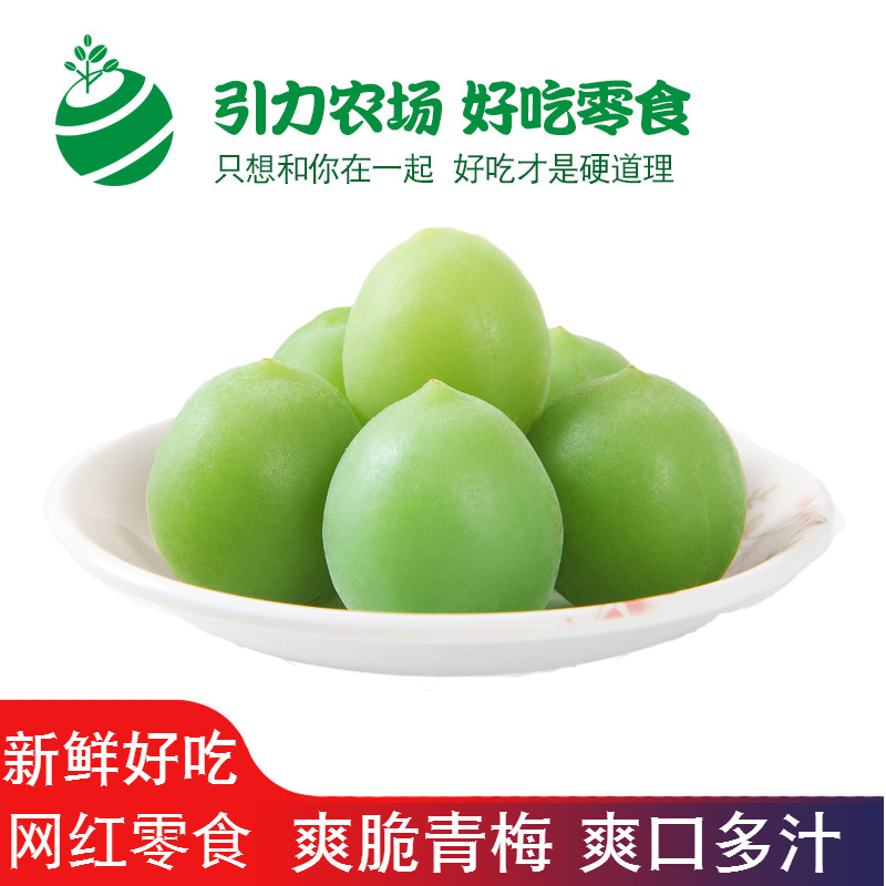 引力农场脆爽青梅188x1罐休闲零食果干蜜饯网红食品在类目 零食/坚果/特产, 蜜饯/枣类/梅/果干, 梅类制品中 - 来自Buy2taobao.com提供专业的淘宝代购服务