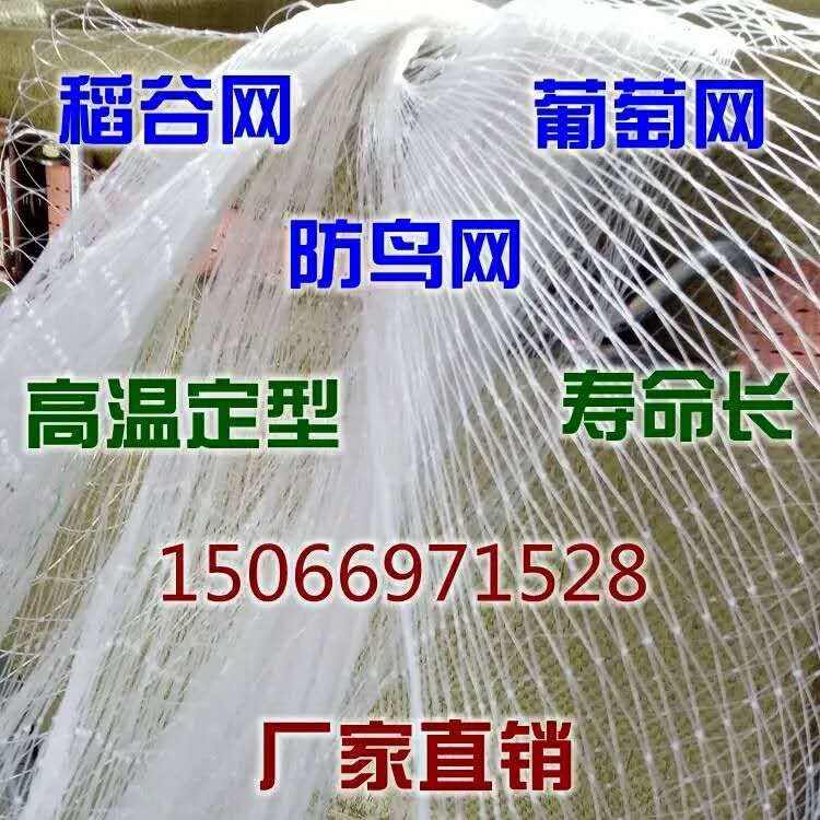 防鸟网菜园果园包邮防鸟网葡萄网大棚 尼龙网虾池鱼塘稻谷防护网在类目 鲜花速递/花卉仿真/绿植园艺, 园艺用品, 其它园艺用品中 - 来自Buy2taobao.com提供专业的淘宝代购服务