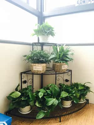 阶梯式花架阳台装饰多层节省空间墙角落地式花盆架多肉绿植收纳架在类目 住宅家具, 架类, 花架/花几中 - 来自Buy2taobao.com提供专业的淘宝代购服务
