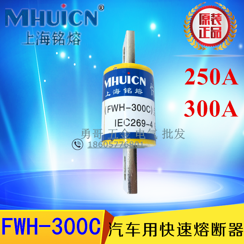 半導體保護電動汽車用高分斷快速保險絲熔斷器FWH-300C 精工品質在類目 3C數碼配件, 電子元器件市場, 電子元件, 保險元器件中 - 來自Buy2taobao.com提供專業的淘寶代購服務