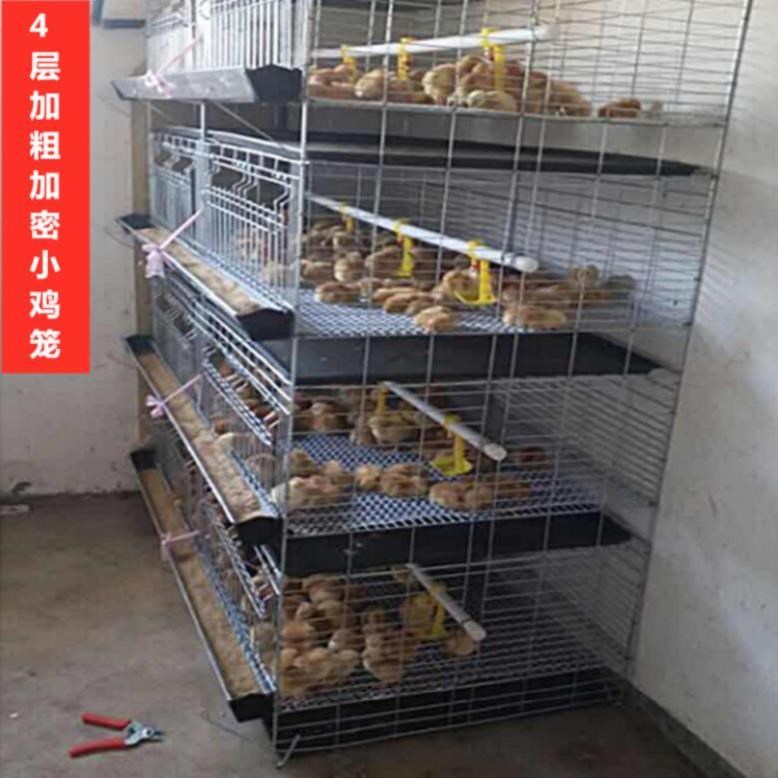 方形养鸡一体塑料雏鸡加长鸡笼子立式格子水箱养殖笼四层防风鸡苗在类目 宠物/宠物食品及用品, 猫/狗日用品, 笼子中 - 来自Buy2taobao.com提供专业的淘宝代购服务