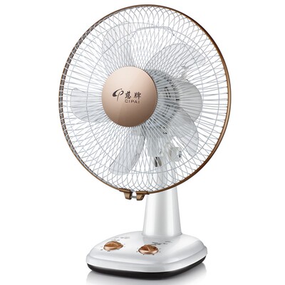 慈牌电风扇台式家用宿舍学生16寸大台扇节能静音定时摇头落地电扇