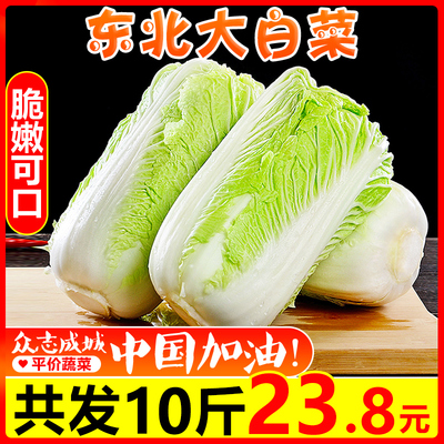 东北大白菜10斤新鲜农家蔬菜结球白菜黄芽小白菜包心青菜整箱包邮