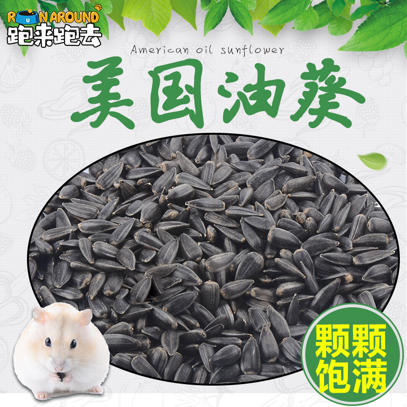 仓鼠零食小黑瓜子葵花籽磨牙棒主粮粮食用品小松鼠粮金丝熊100g|msdalam kategori haiwan peliharaan/makanan haiwan dan bekalan, hamsters kelas haiwan peliharaan dan lain-lain kecil, Feed/makanan ringan - dari Buy2taobao.com untuk memberikan perkhidmatan ejen Taobao profesional membeli