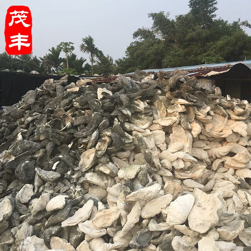 海南天然玉化手鏈手镯吊墜手玩件擺件大小標本果盤原料海撈原貝在類目 飾品/流行首飾/時尚飾品新, 手鍊中 - 來自Buy2taobao.com提供專業的淘寶代購服務