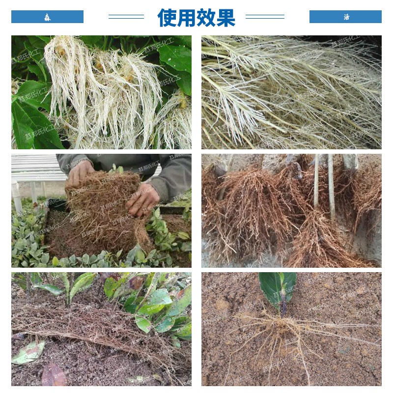 强力生根粉植物通用扦插移栽树木花卉多肉月季快速速效爆炸发根剂在类目 鲜花速递/花卉仿真/绿植园艺, 园艺用品, 花卉药剂中 - 来自Buy2taobao.com提供专业的淘宝代购服务