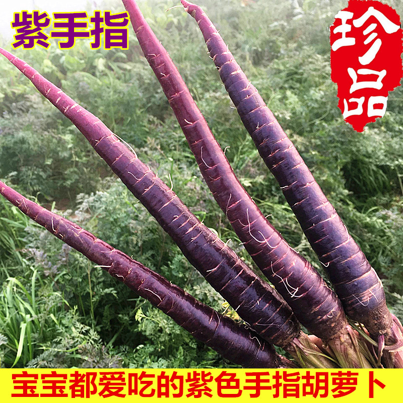 2019 fresh violet Carrot Mini finger Carrot Anthocyanin fruit Carrot Purplein the Aquatic meat/Fresh fruits and vegetables/Cooked , Fresh vegetables/Vegetable products , Fresh vegetables , Other category - from Buy2taobao.com to provide professional Taobao agent buy service