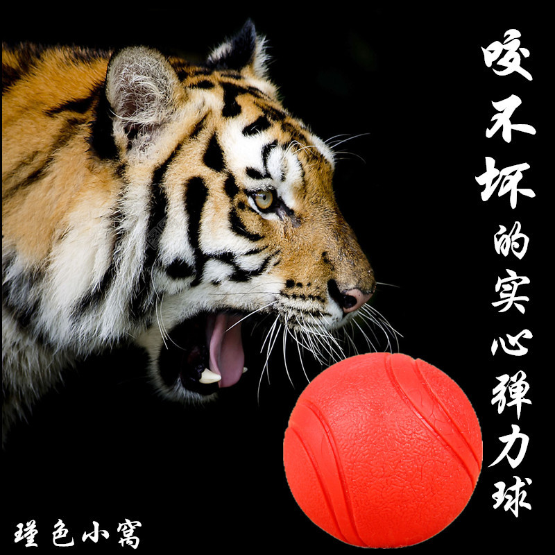 宠物狗狗玩具球耐咬大型犬小狗玩具金毛泰迪幼犬弹力球橡胶实心球在类目 宠物/宠物食品及用品, 猫/狗玩具, 橡胶球/球形玩具中 - 来自Buy2taobao.com提供专业的淘宝代购服务