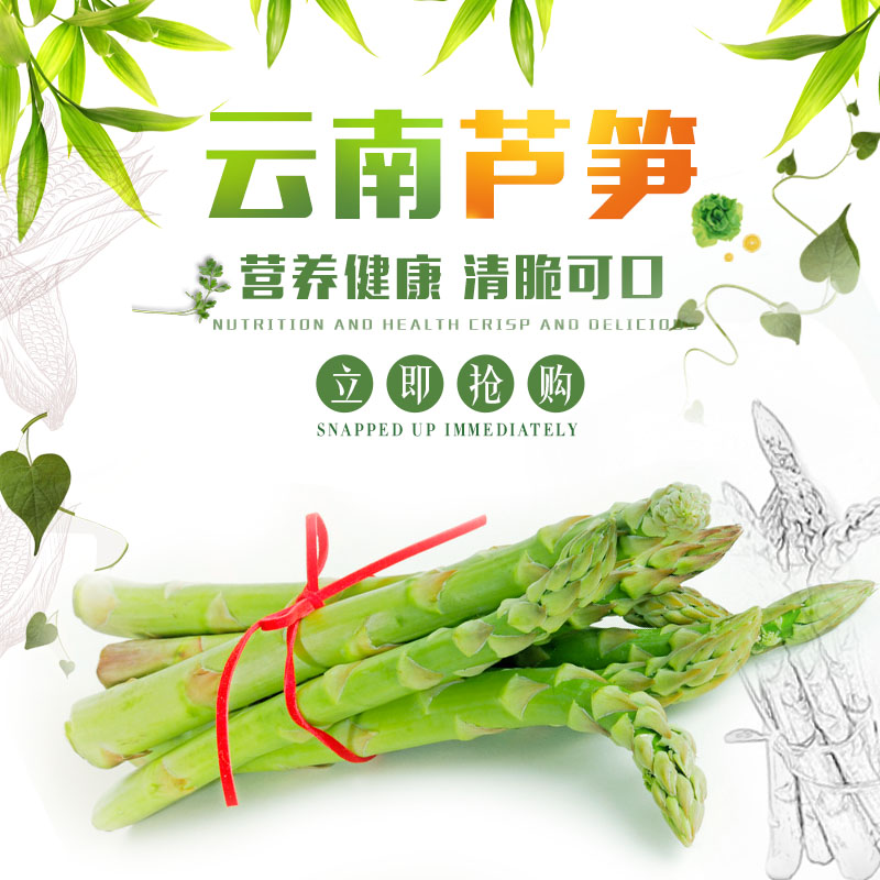 芦笋 云南新鲜芦笋包邮切光白根生态农家蔬菜批发2斤装冷链运输|msdalam kategori daging perikanan/Buah-buahan segar dan sayur-sayuran/dimasak, sayur-sayuran segar/Vegetable Products, sayur-sayuran segar, lain - dari Buy2taobao.com untuk memberikan perkhidmatan ejen Taobao profesional membeli
