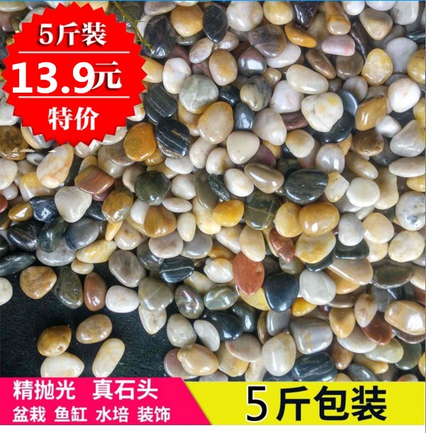 水族室内石子5斤养鱼盆公园用石头植物养花花花盆里五彩石鹅卵石在类目 鲜花速递/花卉仿真/绿植园艺, 园艺用品, 其它园艺用品中 - 来自Buy2taobao.com提供专业的淘宝代购服务