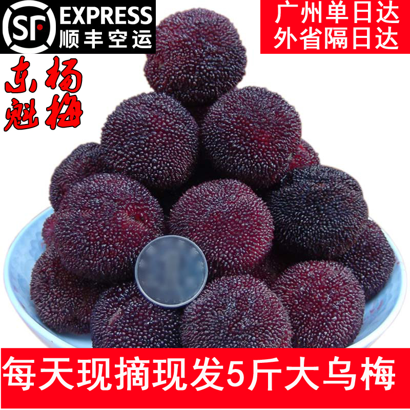 新鲜应季时令孕妇水果当季仙居5斤10斤东魁乌梅大嗜睡杨梅非冰冻|ruв категории водной мясо/свежие фрукты и овощи/еда, свежие фрукты, другие - от Buy2taobao.com для оказания профессиональной услуги покупки агента Taobao