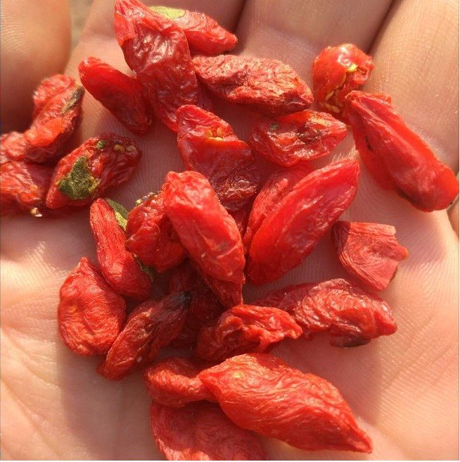 天然不加工枸杞巨划算500g 枸杞子 宁夏中宁枸杞农家直销特价|msdalam kategori makanan berkhasiat tradisional, Goji dan produknya, Goji - dari Buy2taobao.com untuk memberikan perkhidmatan ejen Taobao profesional membeli