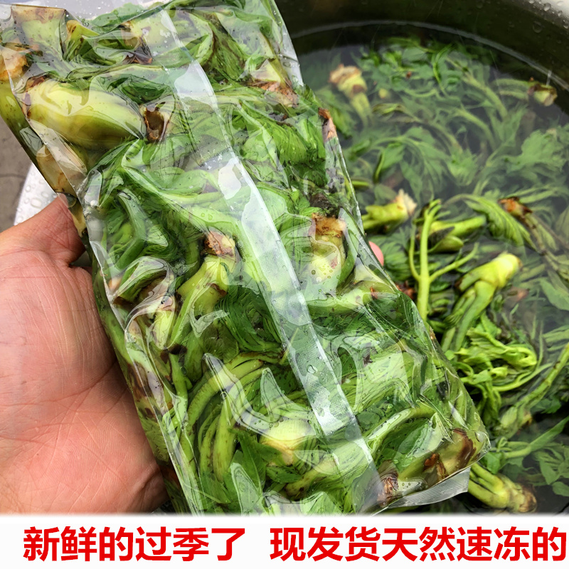 东北山野菜刺嫩芽新鲜速冻刺龙牙野生刺老芽蘸酱菜1000克包邮|ruв категории водной мясо/свежие фрукты и овощи/еда, свежие овощи/овощной продукции, свежие овощи, другие - от Buy2taobao.com для оказания профессиональной услуги покупки агента Taobao