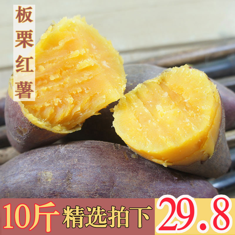 陕西板栗红薯新鲜现挖番薯地瓜农家自种天目山小红薯香薯10斤蜜薯|ruв категории водной мясо/свежие фрукты и овощи/еда, свежие овощи/овощной продукции, свежие овощи, сладкий картофель - от Buy2taobao.com для оказания профессиональной услуги покупки агента Taobao