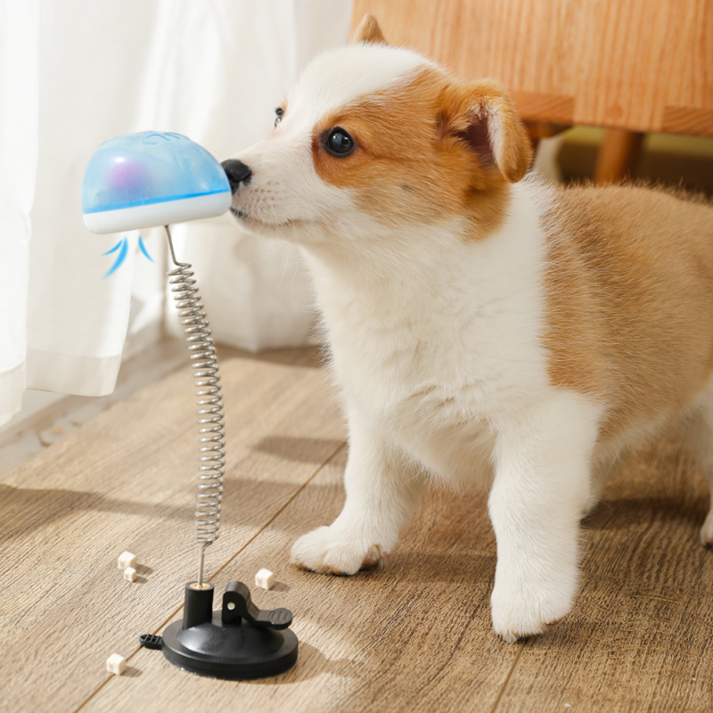 Dogs Boredom Artifact intelligence Leakage food ball Toys Pets To spend time Solitude snacks Dog food Feederin the Pet/Pet food and supplies , Cat/Dog Toys , Leakage food ball category - from Buy2taobao.com to provide professional Taobao agent buy service