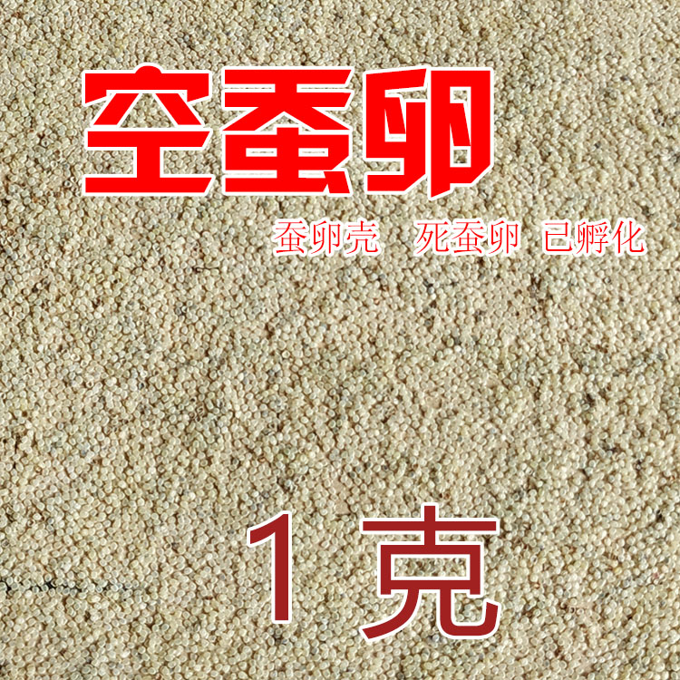 Silkworm eggs Shell Hatch Silkworm eggs Strip Silkworm moltingin the Pet/Pet food and supplies , Reptile/Insects and supplies Ming , Silkworm category - from Buy2taobao.com to provide professional Taobao agent buy service