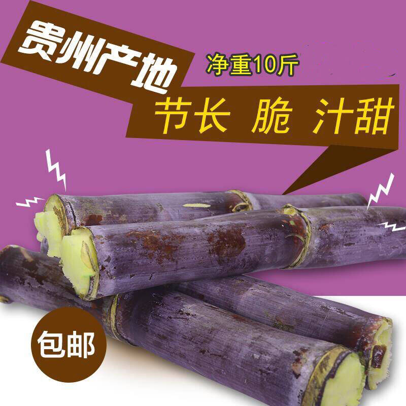 贵州新鲜黑皮水果甜甘蔗节长清脆多汁现砍整发根农家净重10斤包邮在类目 水产肉类/新鲜蔬果/熟食, 新鲜水果, 其它中 - 来自Buy2taobao.com提供专业的淘宝代购服务