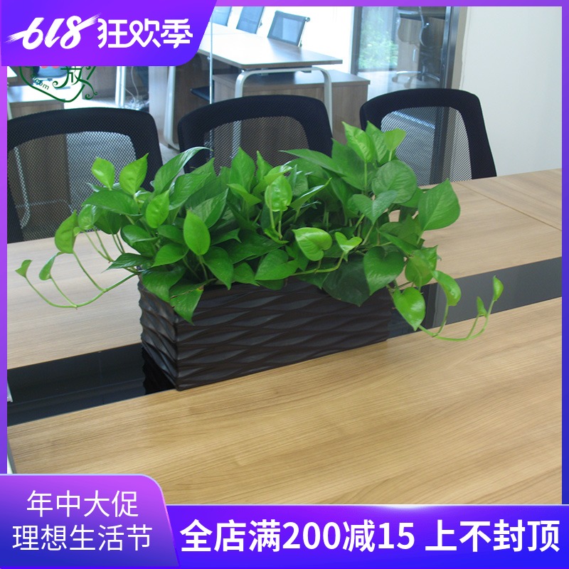 绿萝盆栽绿萝吸甲醛去甲醛植物除甲醛盆栽办公室花卉客厅室内盆栽在类目 鲜花速递/花卉仿真/绿植园艺, 花卉/绿植盆栽(新), 绿植中 - 来自Buy2taobao.com提供专业的淘宝代购服务