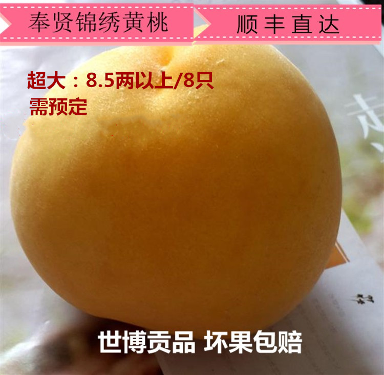 上海奉贤光明锦绣黄桃 新鲜桃子礼盒装8.5两以上8只超大 需先预定在类目 水产肉类/新鲜蔬果/熟食, 新鲜水果, 桃中 - 来自Buy2taobao.com提供专业的淘宝代购服务