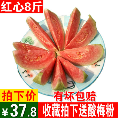 广西红心番石榴芭乐特产8斤装当季热带新鲜水果新鲜现摘果园直供