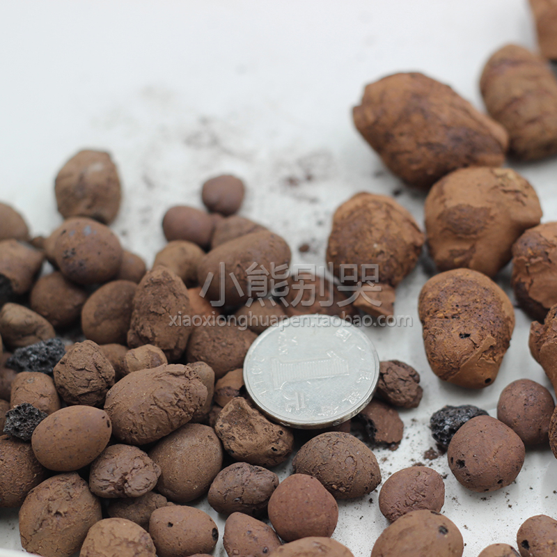 Gardening ceramic Pelvic floor stone Paved Bottom Soilless cultivation Good permeability and air permeability Trumpet tuba 1.5Lin the Flower delivery/Flowers simulation/Plants gardening , Gardening supplies , Other Garden Supplies category - from Buy2taobao.com to provide professional Taobao agent buy service