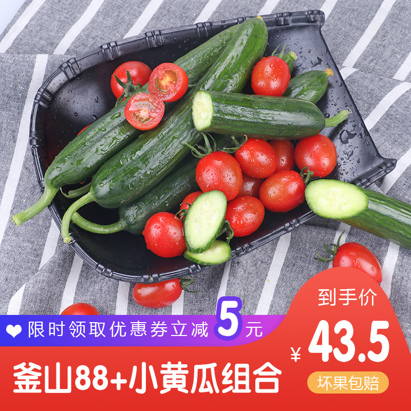 Busan 88 fruit Cucumber combination Package Cherry tomatoes Persimmon Tomatoes Fruits and vegetables 5 freshin the Aquatic meat/Fresh fruits and vegetables/Cooked , Fresh vegetables/Vegetable products , Fresh vegetables , Tomatoes category - from Buy2taobao.com to provide professional Taobao agent buy service