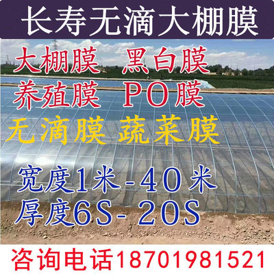 进口加厚保温室大棚透明无滴膜长寿抗老化养殖黑白膜防晒塑料薄膜