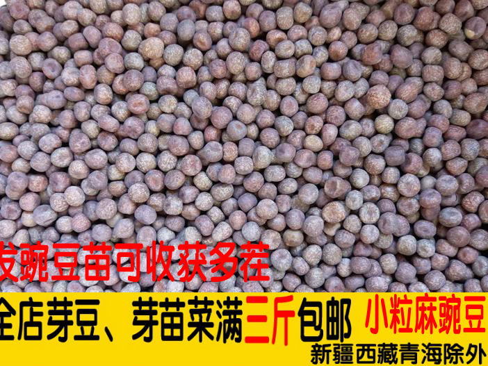 high quality peas Pea seedlings Pea tip bean sprouts Sprouts Hydroponicsin the Agri rice/Dried foods/Condiment , Meter/Flour/Grains , Beans , Other category - from Buy2taobao.com to provide professional Taobao agent buy service