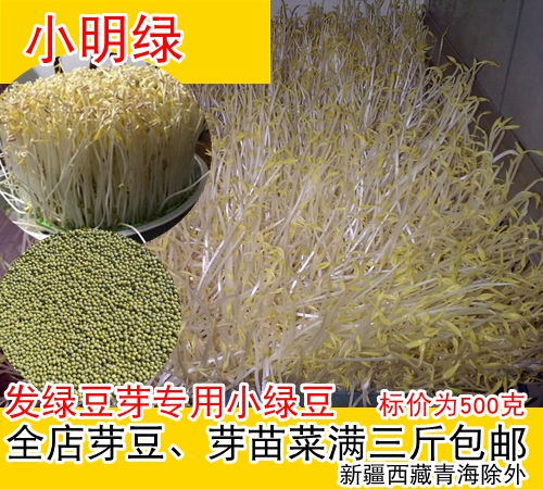 Green bean sprouts Dedicated Small green beans high quality Xiao Ming And green Bean sprouts Sprouts Paper Vegetablesin the Agri rice/Dried foods/Condiment , Meter/Flour/Grains , Beans , Green beans category - from Buy2taobao.com to provide professional Taobao agent buy service