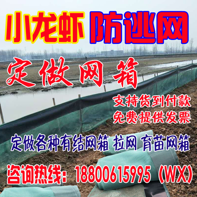 定做黄鳝泥鳅水蛭小龙虾防逃网养殖育苗网箱10目网布围网抬网拉网