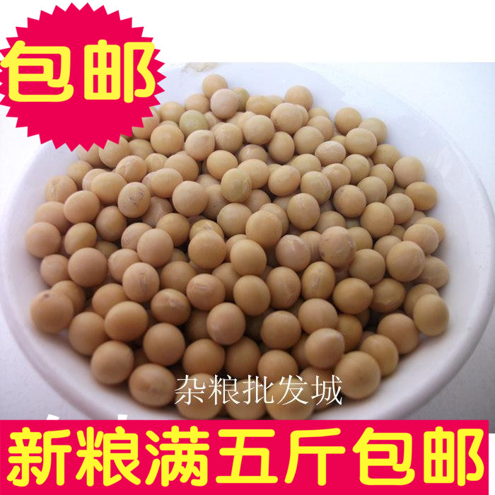 黄豆 大黄豆 圆颗粒豆子 满5斤 包邮|msdalam kategori beras/Utara-Selatan barangan kering/perasa, meter/tepung/bijirin, Beans, kacang soya - dari Buy2taobao.com untuk memberikan perkhidmatan ejen Taobao profesional membeli