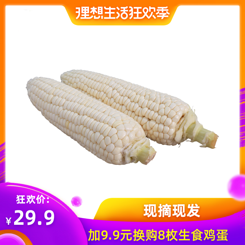 Nanhui Xuan Qiao fresh Sweet glutinous rice Corn Cob Farm Sticky corn ZhenZhuMi 5 poundsin the Aquatic meat/Fresh fruits and vegetables/Cooked , Fresh vegetables/Vegetable products , Fresh vegetables , Fresh corn category - from Buy2taobao.com to provide professional Taobao agent buy service
