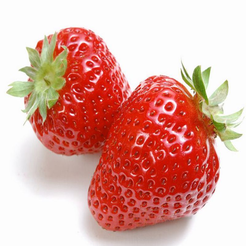 四季播家庭阳台食用奶油草莓种子农家蔬菜种子结果田野牛奶草莓籽|msdalam kategori Aksesori rumah, mural - dari Buy2taobao.com untuk memberikan perkhidmatan ejen Taobao profesional membeli