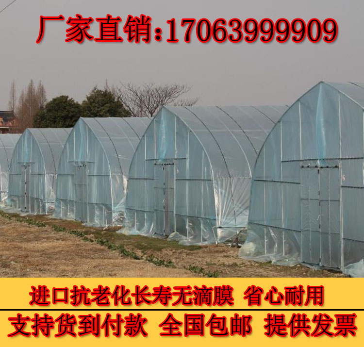 Wu Dimo Polyethylene Agriculture Plastic film Vegetable plastic film Plastic sheeting thickening blue Wu Dimoin the Agricultural Machinery/Farm tools/Plastic sheeting , Plastic sheeting/Tarpaulin/Network cover/Greenhouse , Agricultural film category - from Buy2taobao.com to provide professional Taobao agent buy service