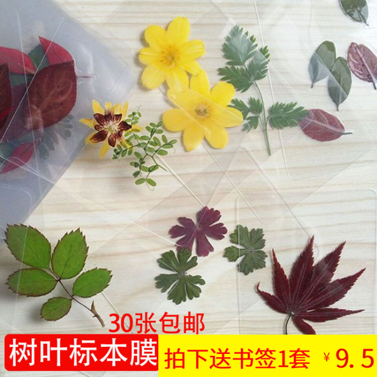 Leaf specimen Plastic film a4a6 Cold laminating film a3 Botany Photo Plastic film 6 manual diy Bookmark makingin the Office Equipment/Consumables/Related Services , Packaging Equipment/Signs and supplies , Plastic film category - from Buy2taobao.com to provide professional Taobao agent buy service