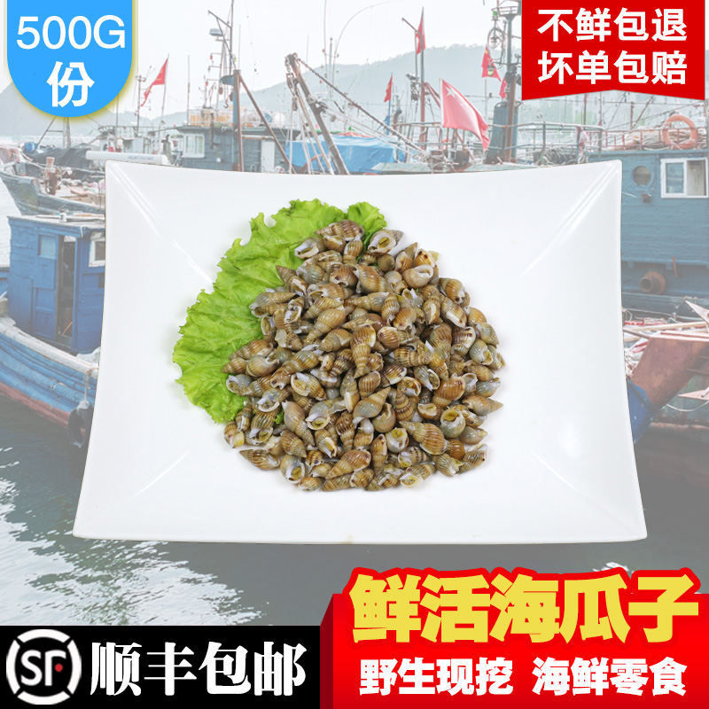海瓜子海鲜鲜活海锥螺水产鲜活海螺丝鲜活大海瓜子 鲜活包邮500g|ruв категории водной мясо/свежие фрукты и овощи/еда, морепродукты/водные продукты/изделия, моллюски, моллюсков изделия - от Buy2taobao.com для оказания профессиональной услуги покупки агента Taobao
