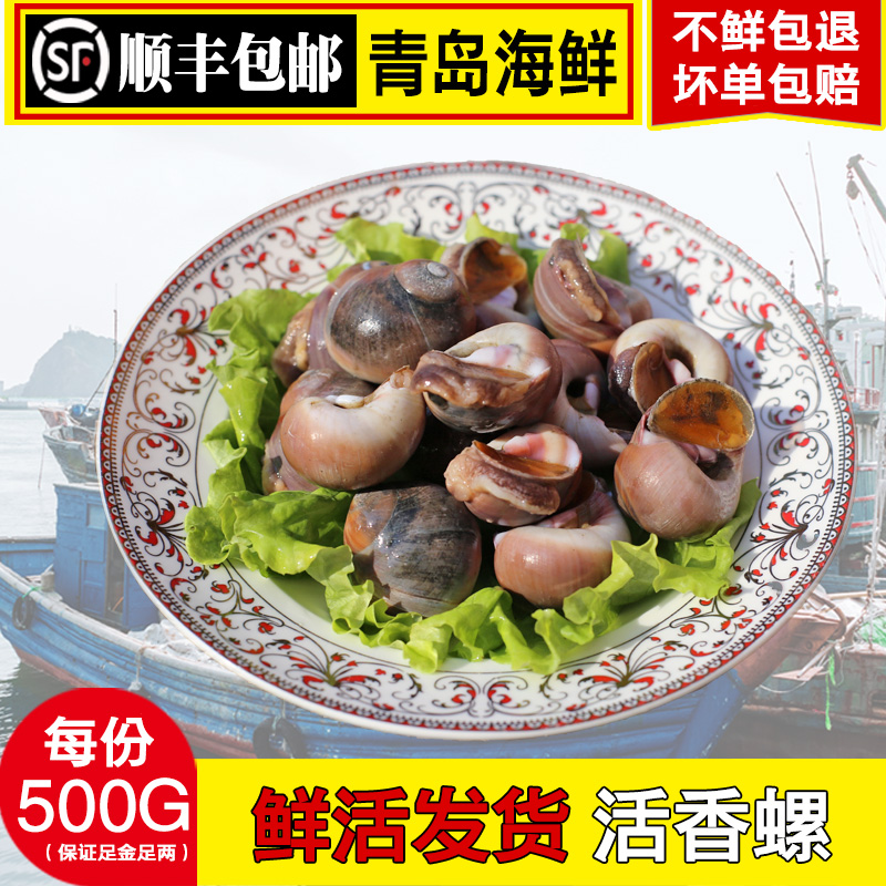 大海螺鲜活当天超大海螺包邮海鲜鲜活水产小香螺鲜活新鲜顺丰包邮在类目 水产肉类/新鲜蔬果/熟食, 海鲜/水产品/制品, 贝类, 贝类制品中 - 来自Buy2taobao.com提供专业的淘宝代购服务
