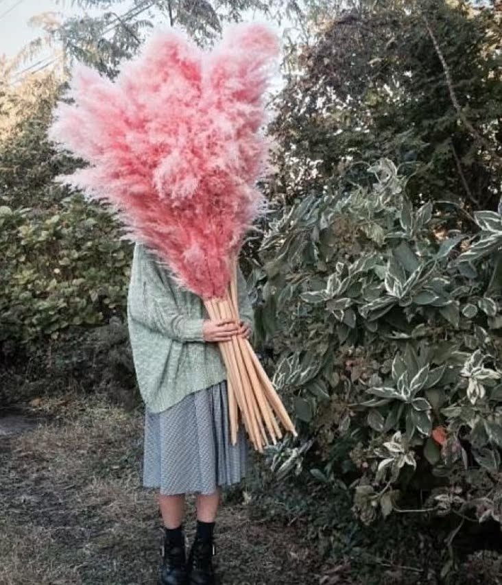 Pink pampas and reed dried|ruв категории Домашний быт, ваза/цветок/искусственные цветы/моделирование украшения, сушеные цветы/лепесток/сушеные цветы пакет/сухие ветки - от Buy2taobao.com для оказания профессиональной услуги покупки агента Taobao