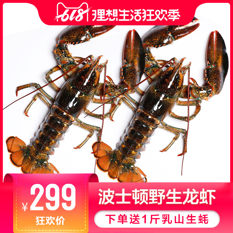 Boston lobster Fresh Lobster Large Dragon Dragon Seafood Aquatic products living thing Fresh Australia Imported lobsterin the Aquatic meat/Fresh fruits and vegetables/Cooked , Seafood/Aquatic/Product , Shrimp , Huoxia category - from Buy2taobao.com to provide professional Taobao agent buy service