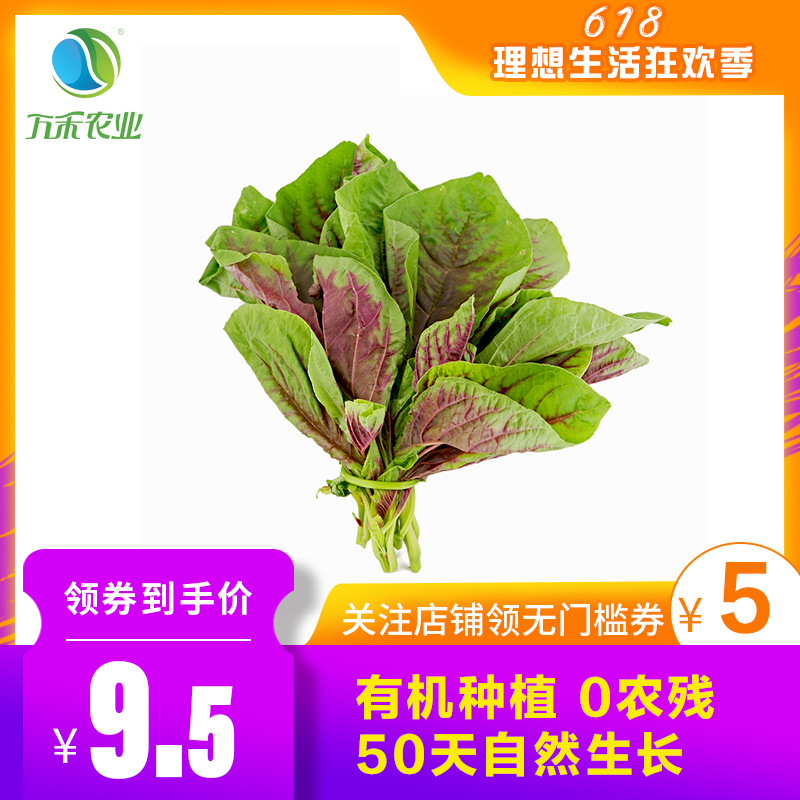 万禾农业有机红苋菜红米苋米苋农家野菜鲜嫩时令蔬菜新鲜蔬菜250g|msdalam kategori daging perikanan/Buah-buahan segar dan sayur-sayuran/dimasak, sayur-sayuran segar/Vegetable Products, sayur-sayuran segar, lain - dari Buy2taobao.com untuk memberikan perkhidmatan ejen Taobao profesional membeli